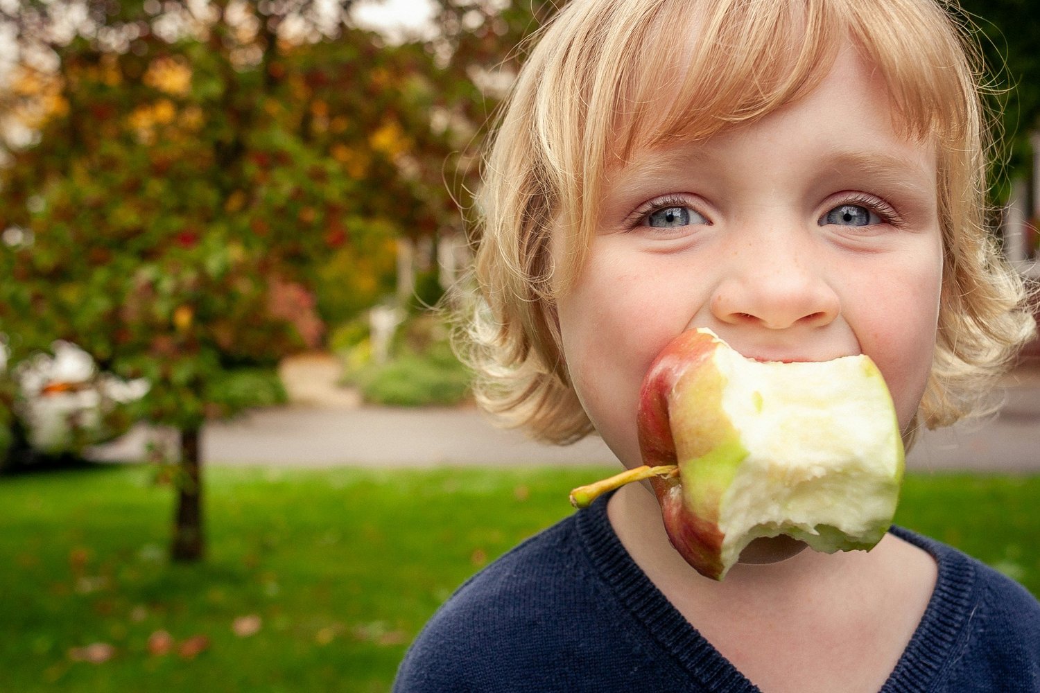 A young child biting into an apple outdoors
