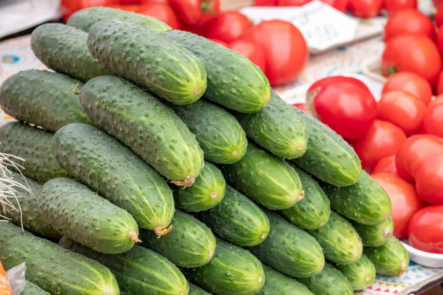 Stacked cucumbers beside tomatoes at a market stall