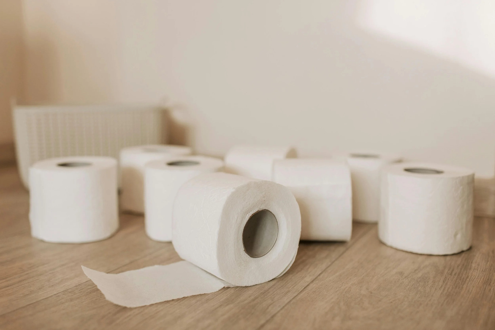 Rolls of toilet paper standing on a bathroom floor