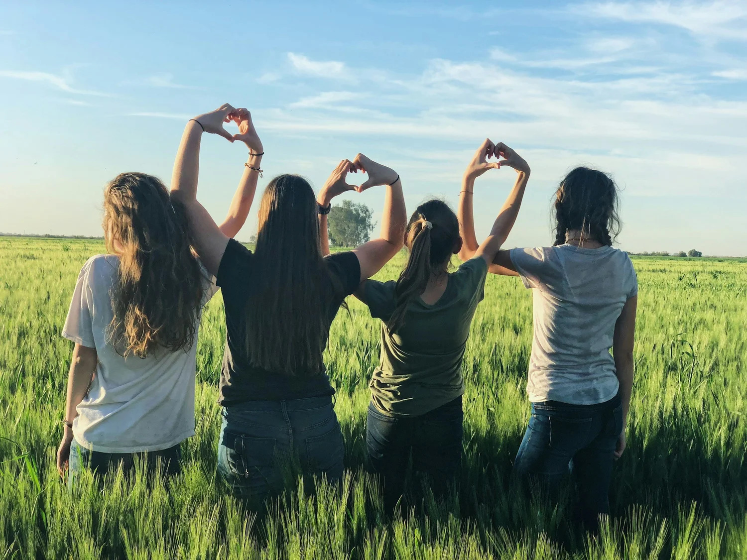 Four friends in a green field making heart shapes with their arms