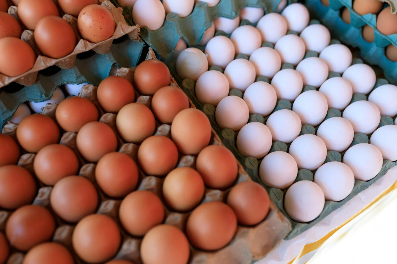 Trays of brown and white eggs