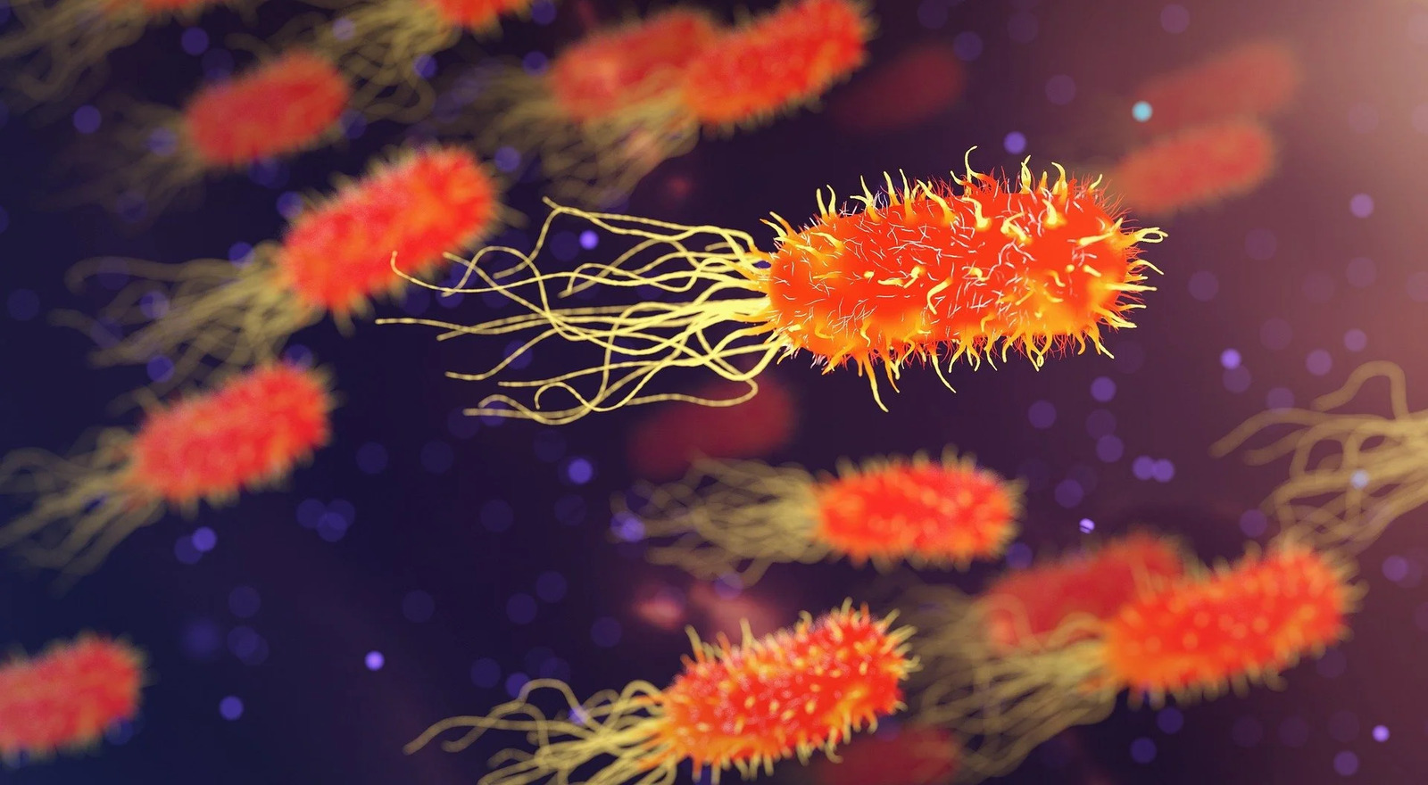 Magnified illustration of rod-shaped bacteria