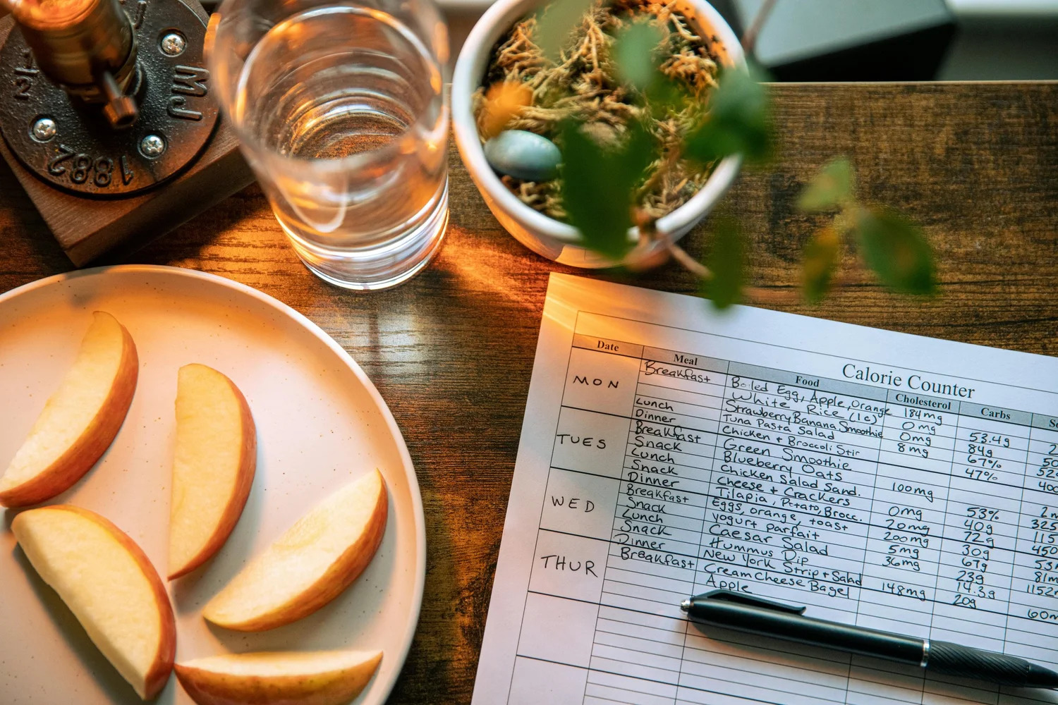 A handwritten food log beside apple slices and a glass of water