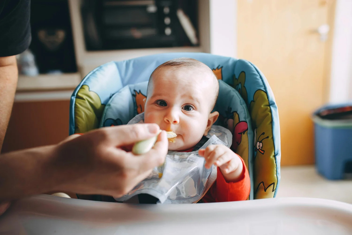 A baby in a high chair being spoon-fed
